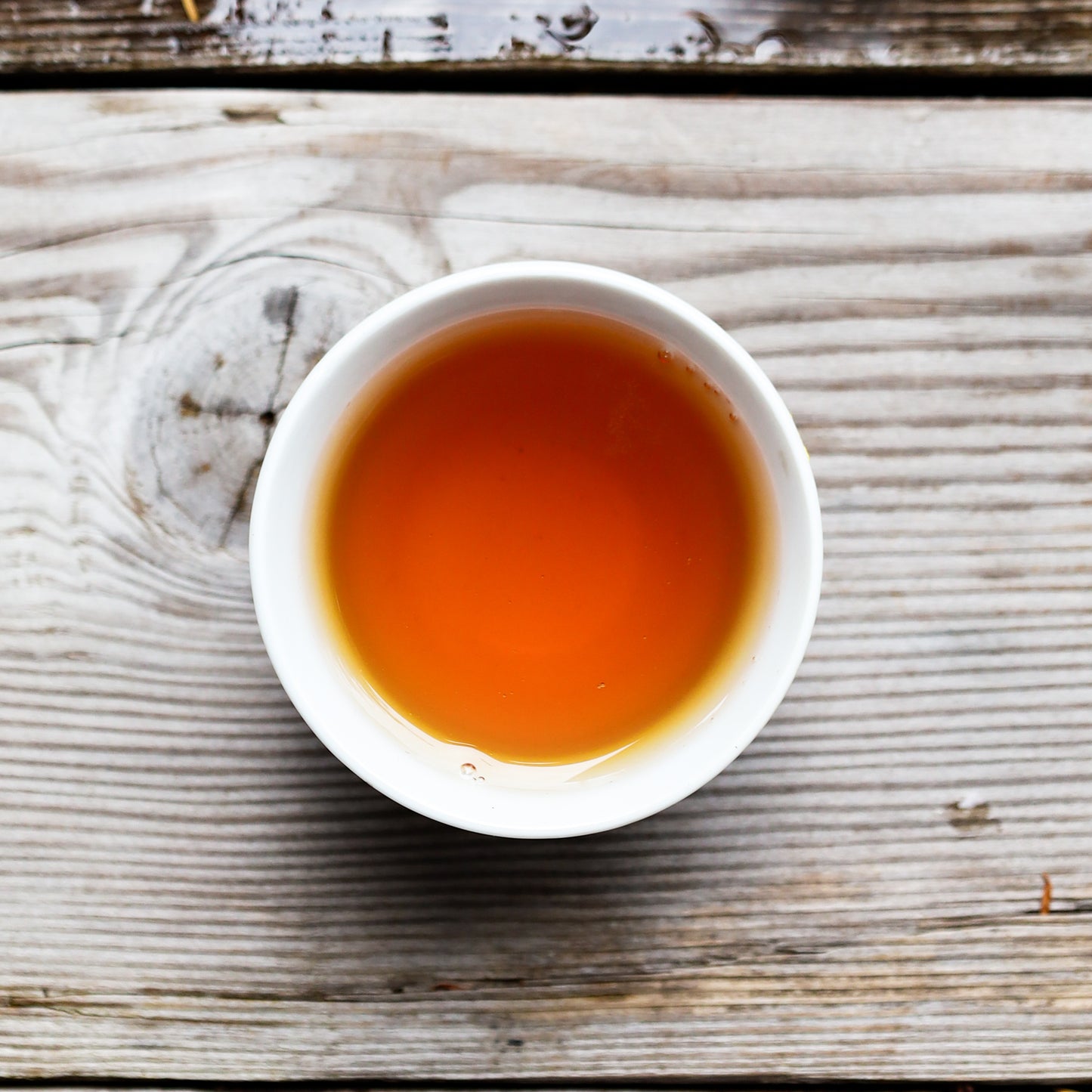 Koshi Lost Forest Black