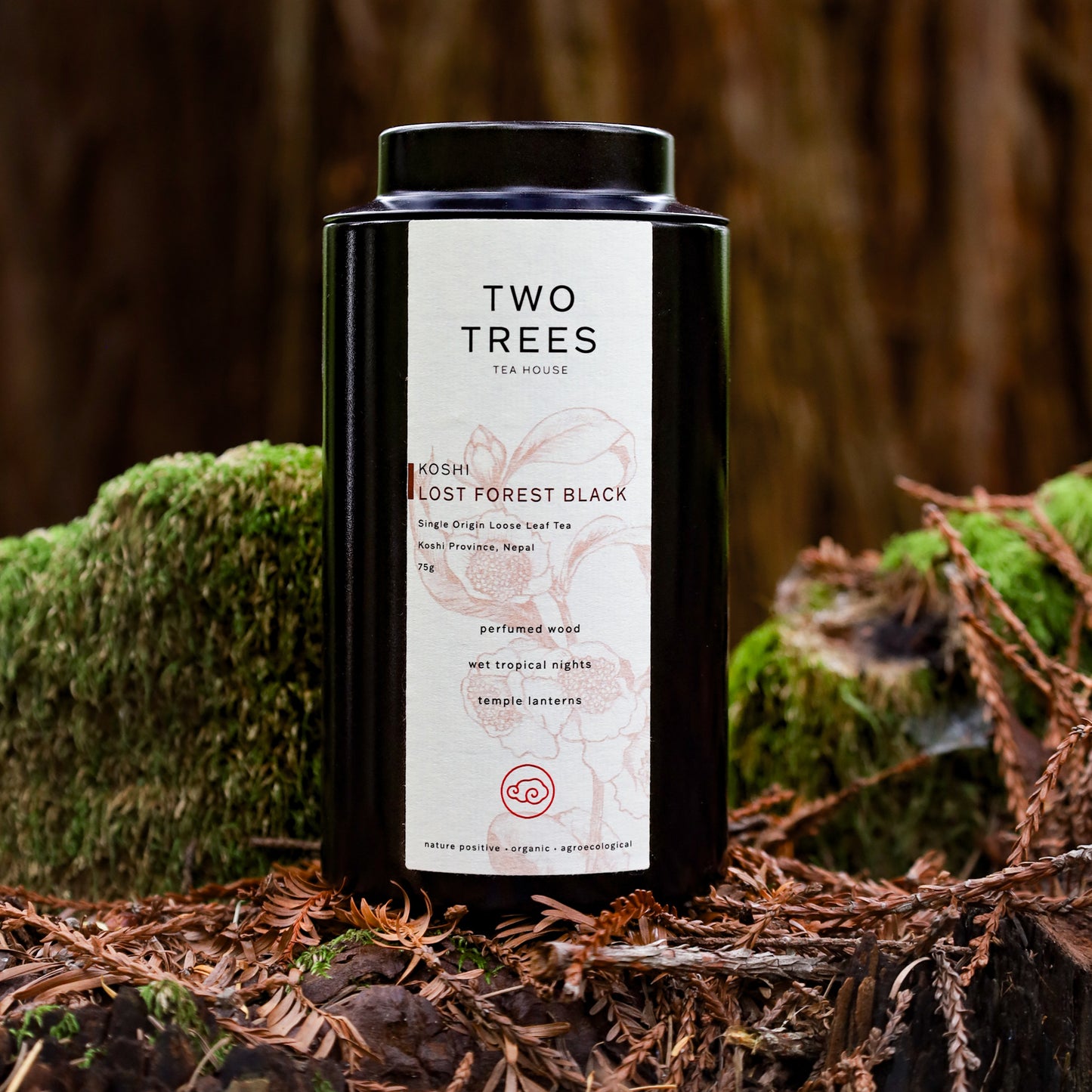 Koshi Lost Forest Black