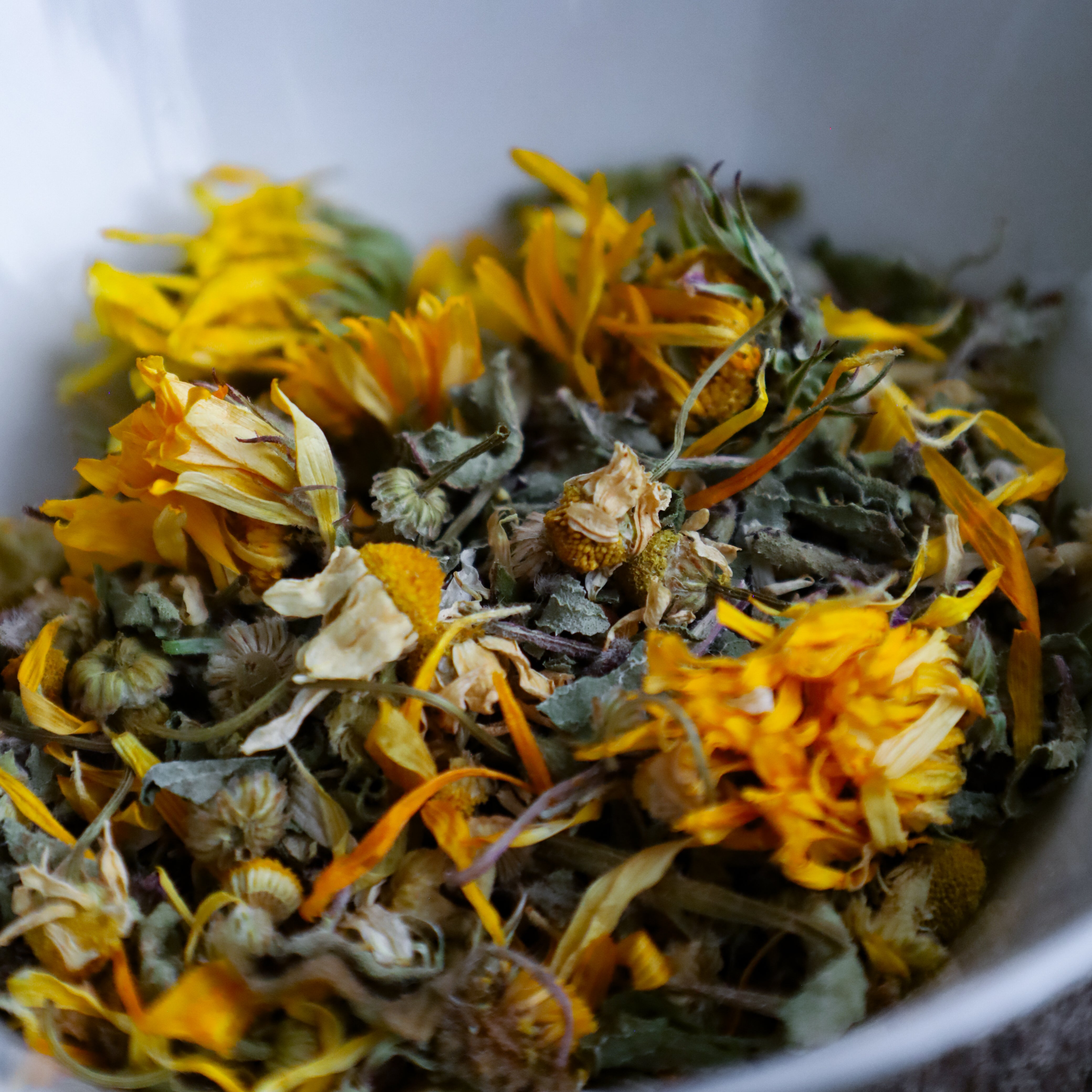 Druid – Two Trees Tea House