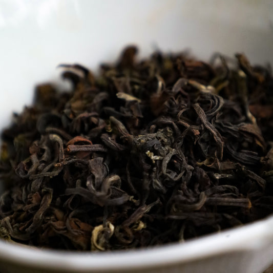Ilam Firefly Oolong