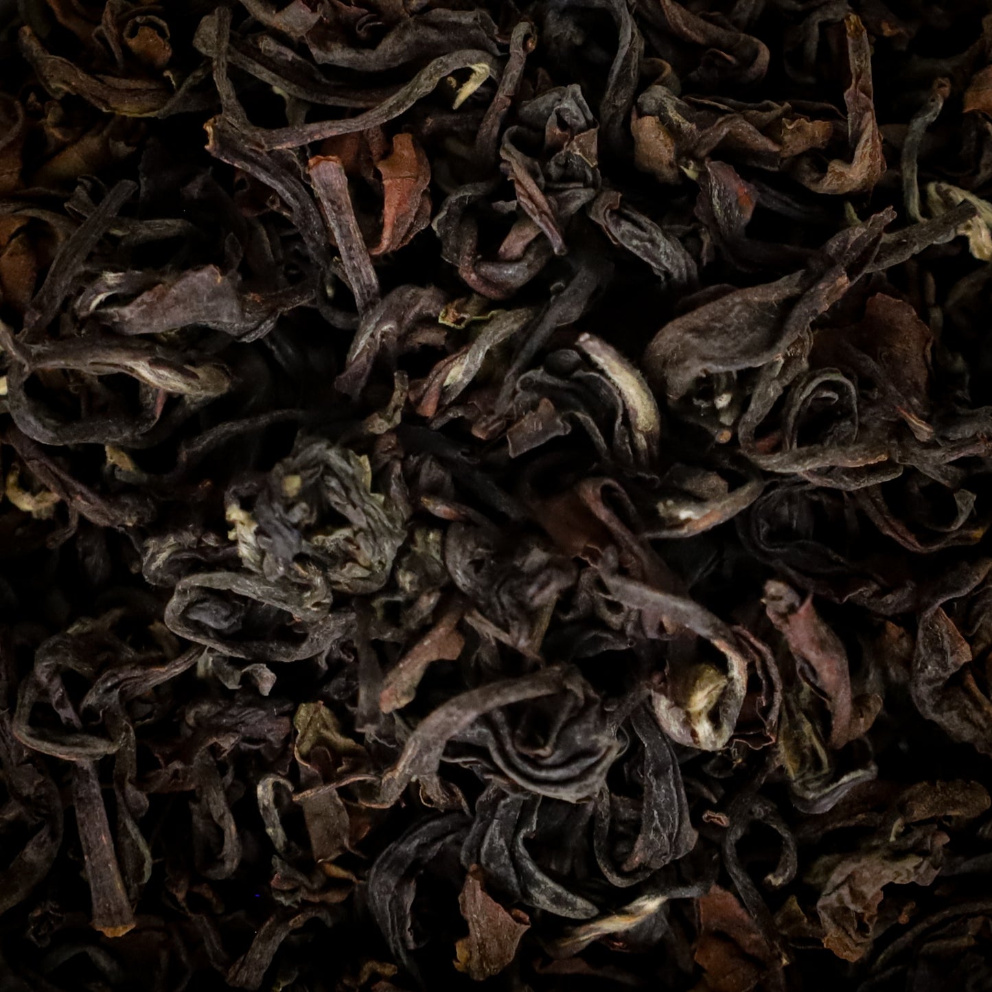 Ilam Firefly Oolong