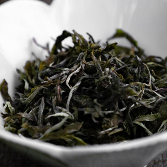 Ilam Wild Coast Green