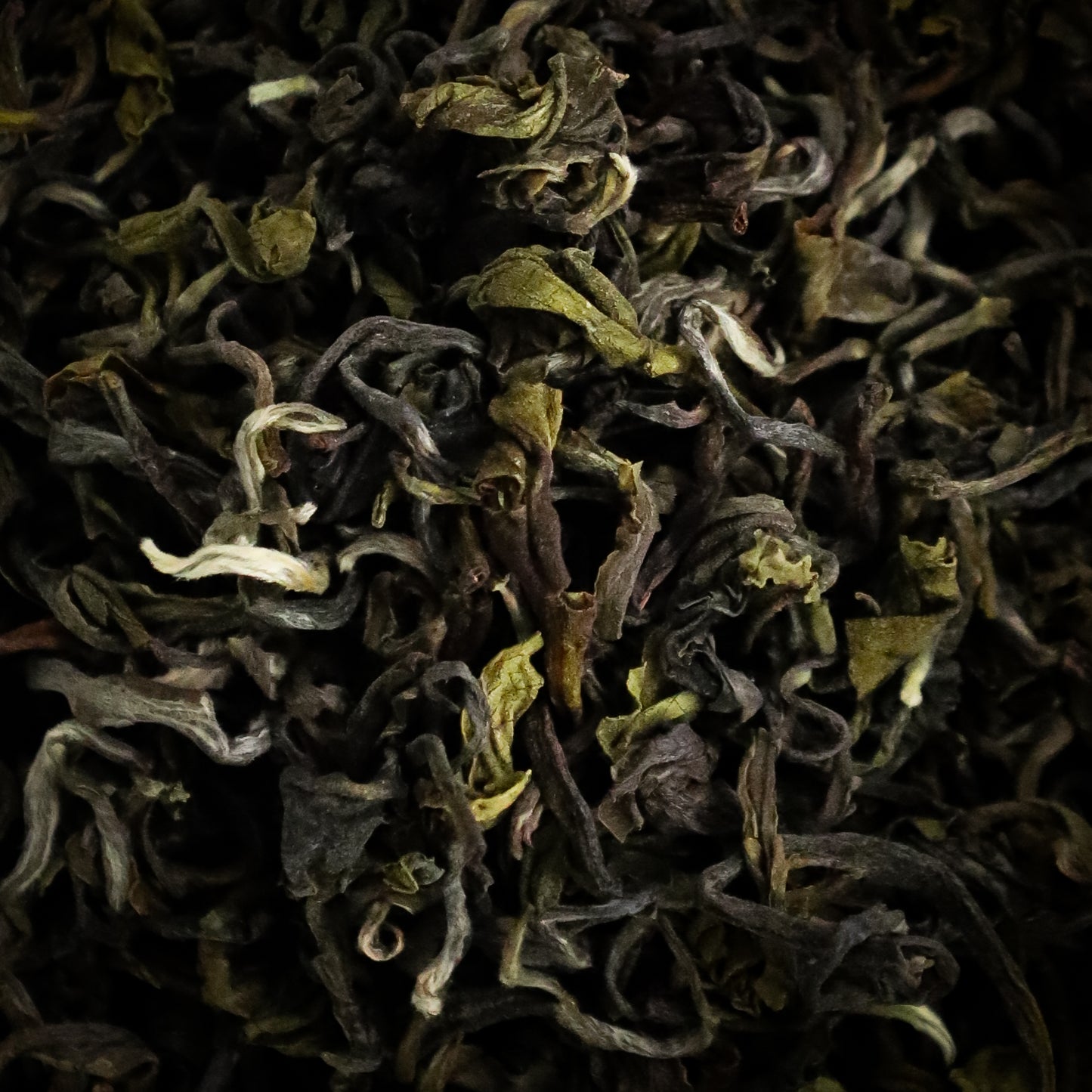 Ilam High Mountain Green