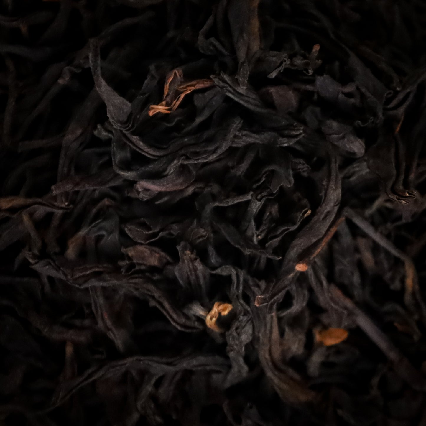 Jing Mai Ancestor Red