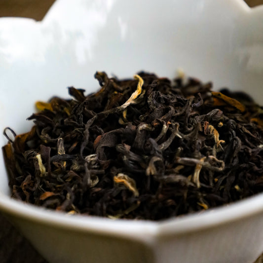 Koshi Lost Forest Black