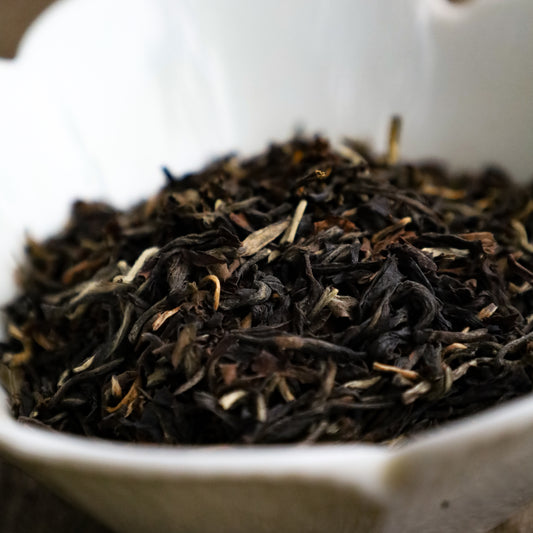 Siliguri Sanctuary Black