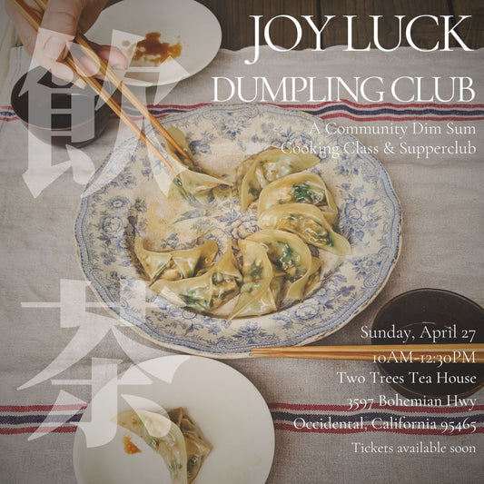 Joy Luck Dumpling Club